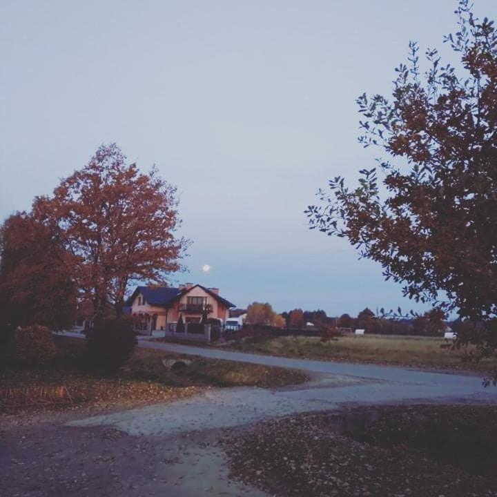 Aris Pokoje Goscinne Wojnicz Exterior foto